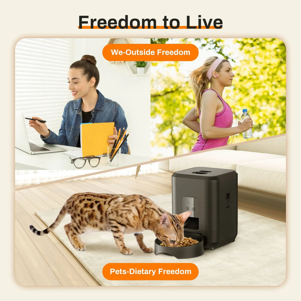 White WiFi automatic pet feeder with British plug for cats with feeding tableware