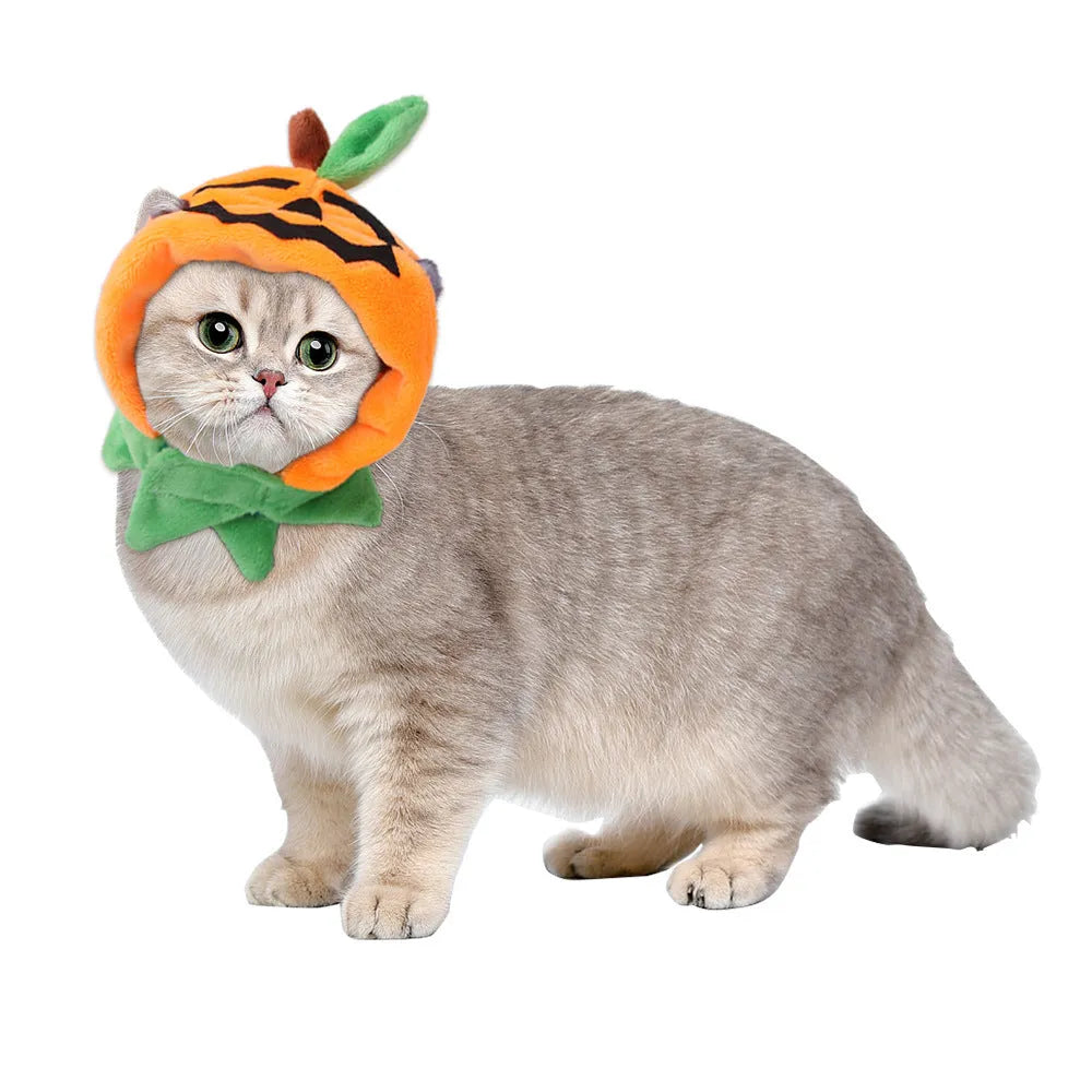 Halloween pumpkin pet cloak reversible design for dogs and cats with plush material