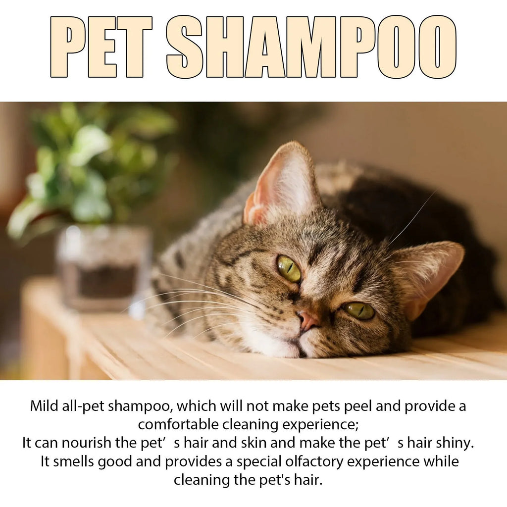 Bottle of mild pet shampoo for dogs in 100ml or 300ml size.