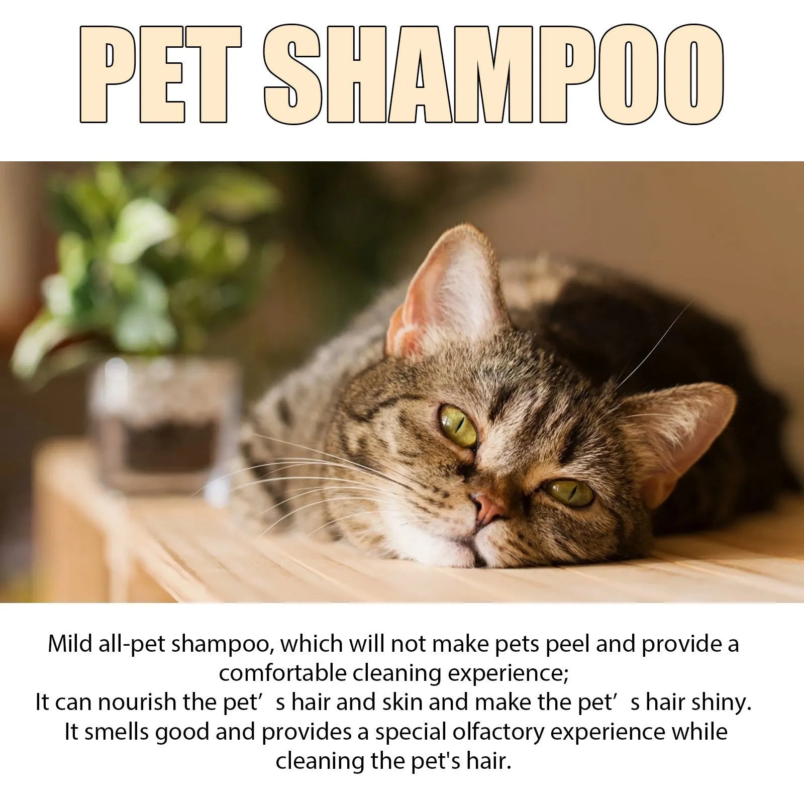 Bottle of mild pet shampoo for dogs in 100ml or 300ml size.