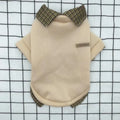 Grey dog wearing thin velvet sweater with detachable hoodie - two-piece pet clothing