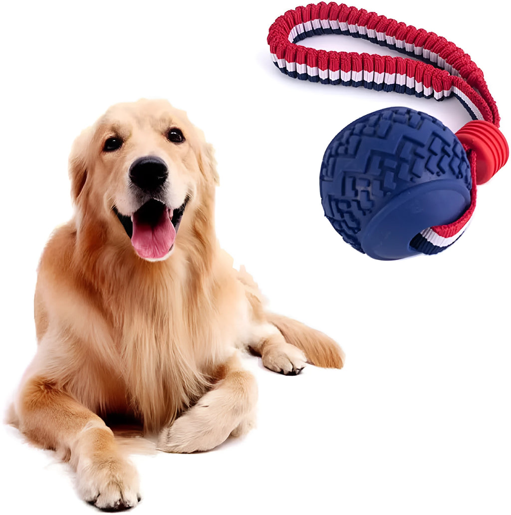 Blue dog ball with rope toy for small dogs on a white background.