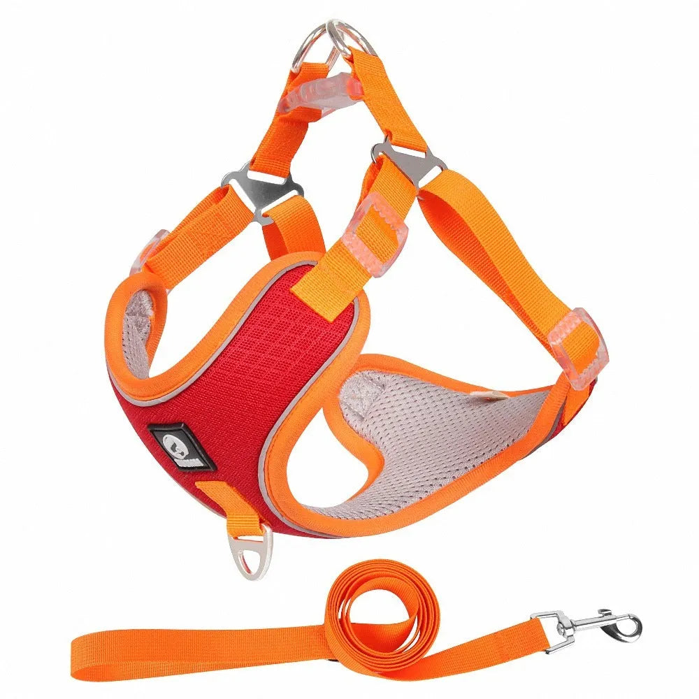 Adjustable dog harness with reflective piping in black, red, grey or light purple colours