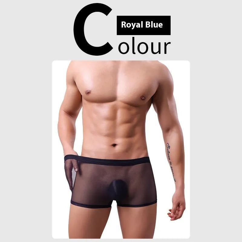 Men's low-waist mesh boxer briefs in various colours on a white background