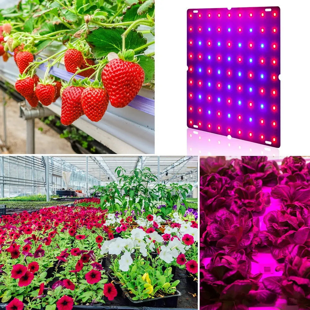 D-section aluminum LED plant grow light with hook for hanging above plants.