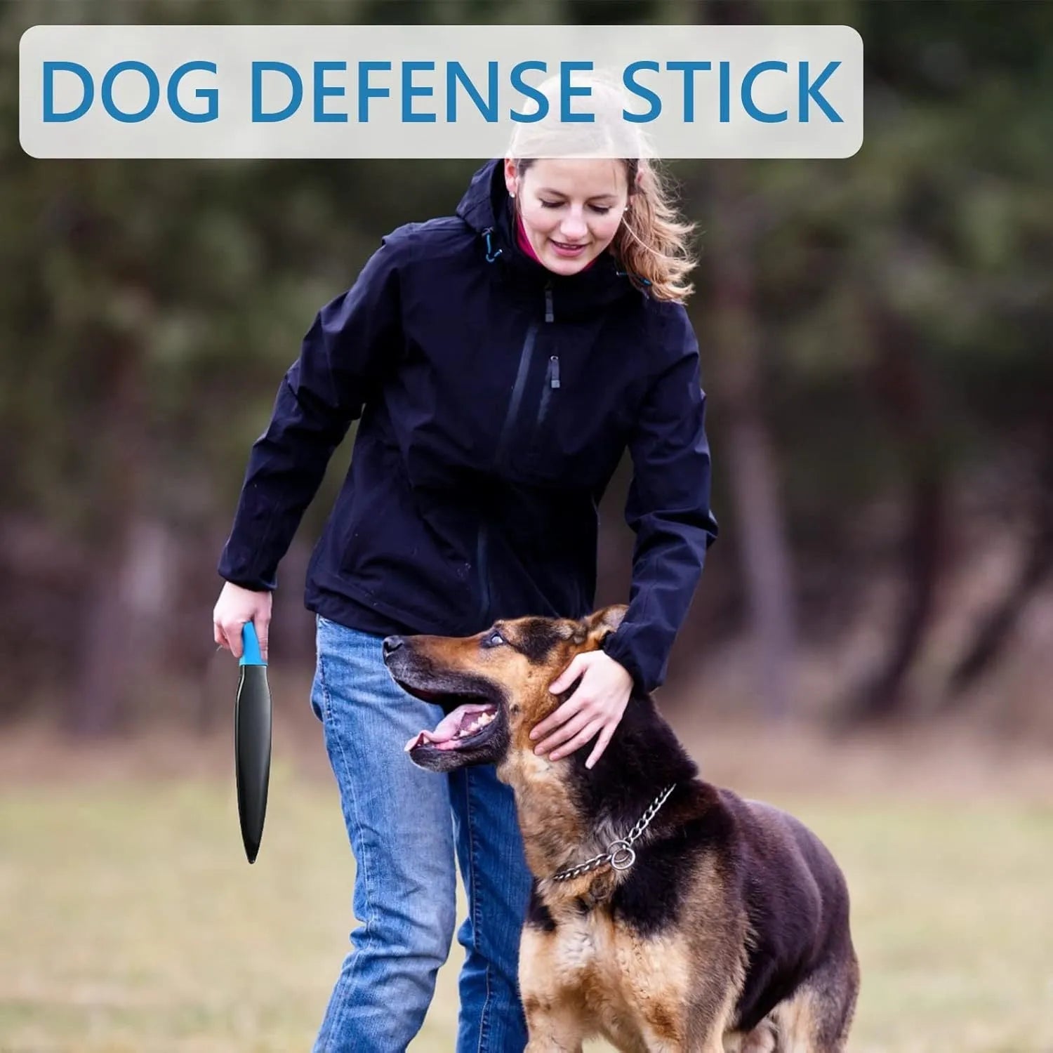 Blue handled nylon dog break stick for training, shown with measurement scale indicating 35 cm length