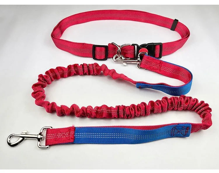 Grey and green two-tone reflective elastic dog leash held in a hand, showing its 2.5cm width.