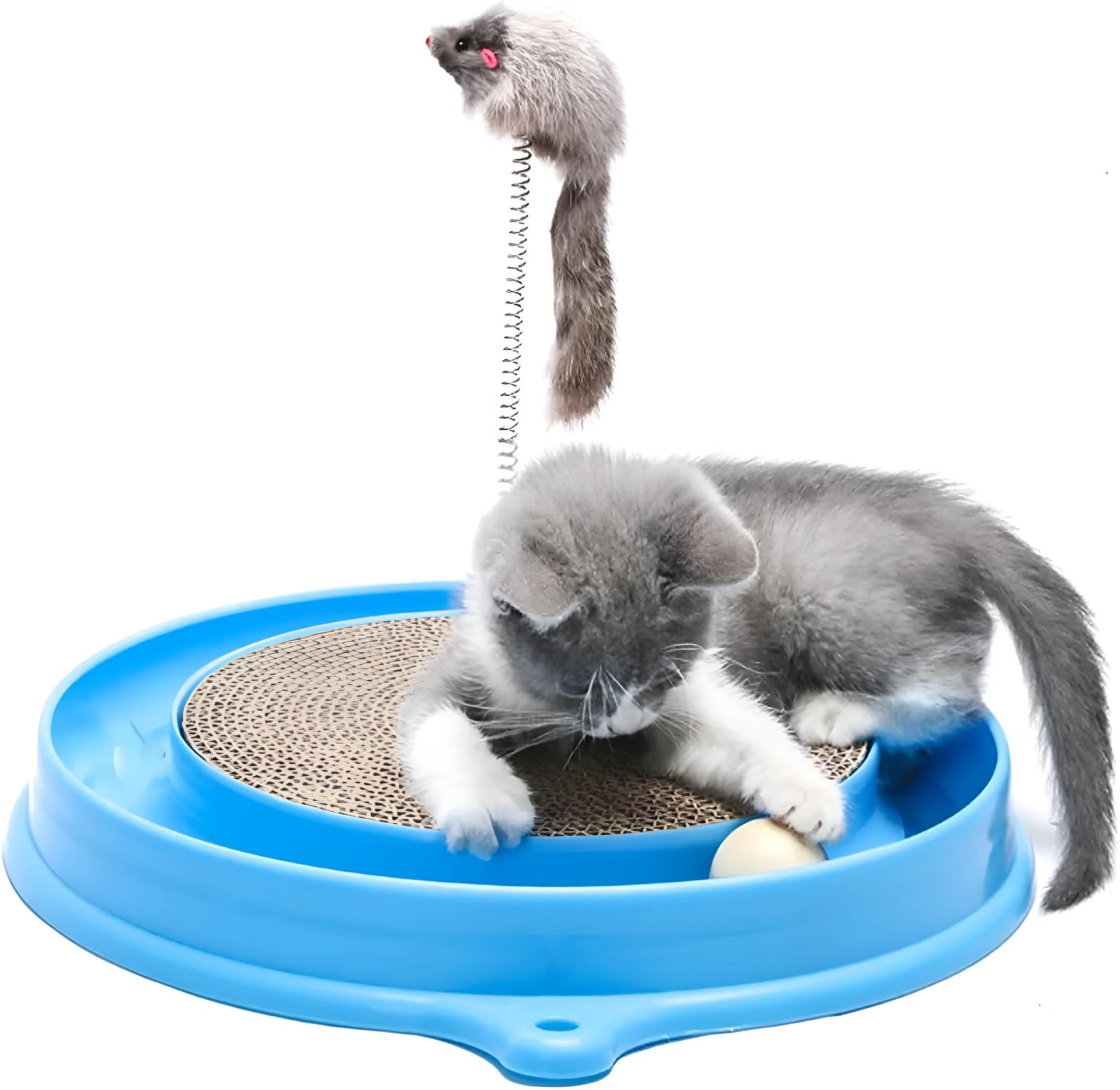 Circular blue cat scratcher with rolling ball track and replaceable corrugated cardboard centre pad