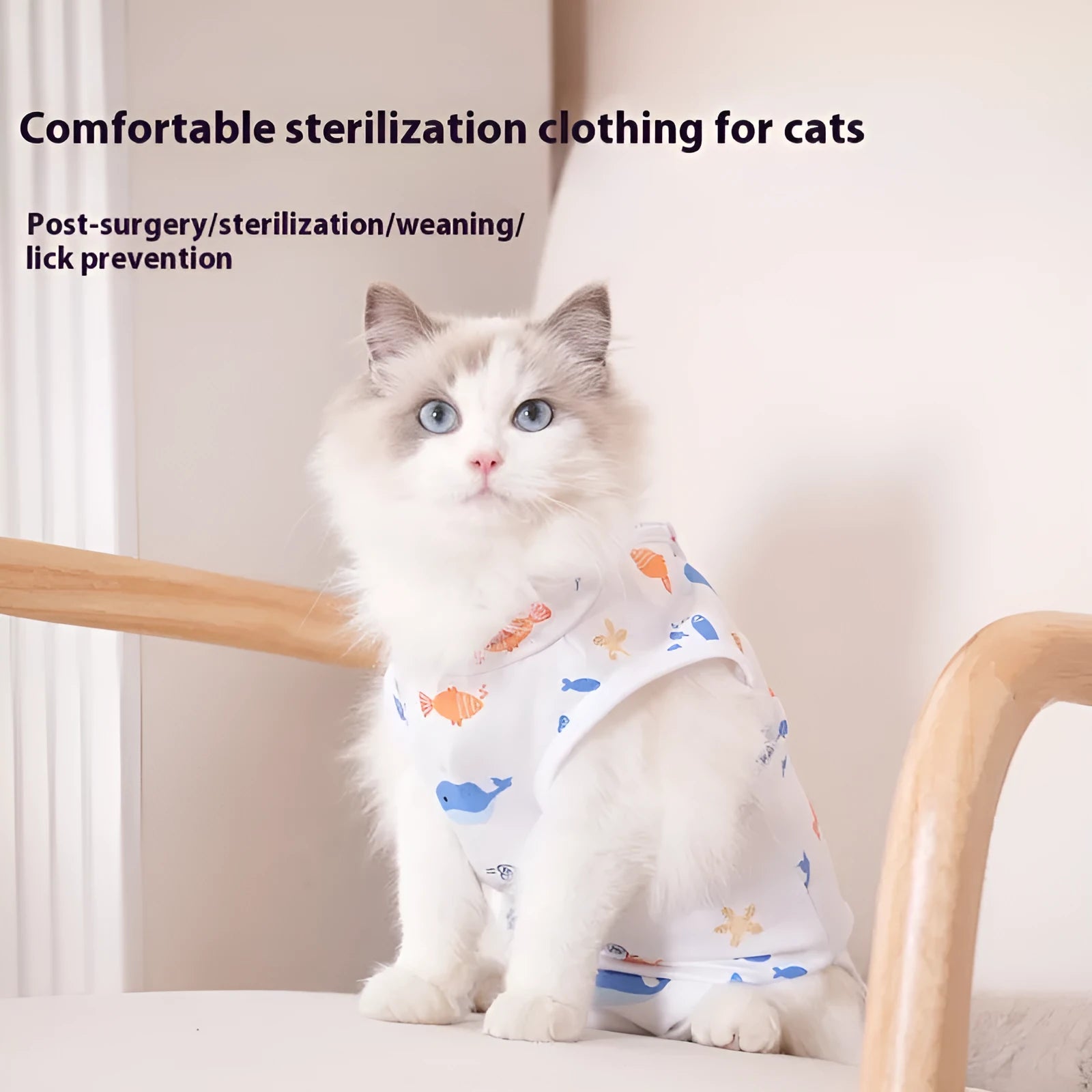 Cat wearing a blue polyester sterilisation recovery suit with velcro fastening on its torso.