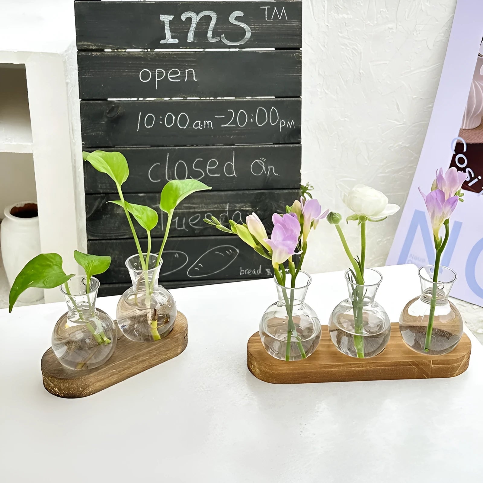 Wooden frame transparent hydroponic vase decoration in modern simplicity style