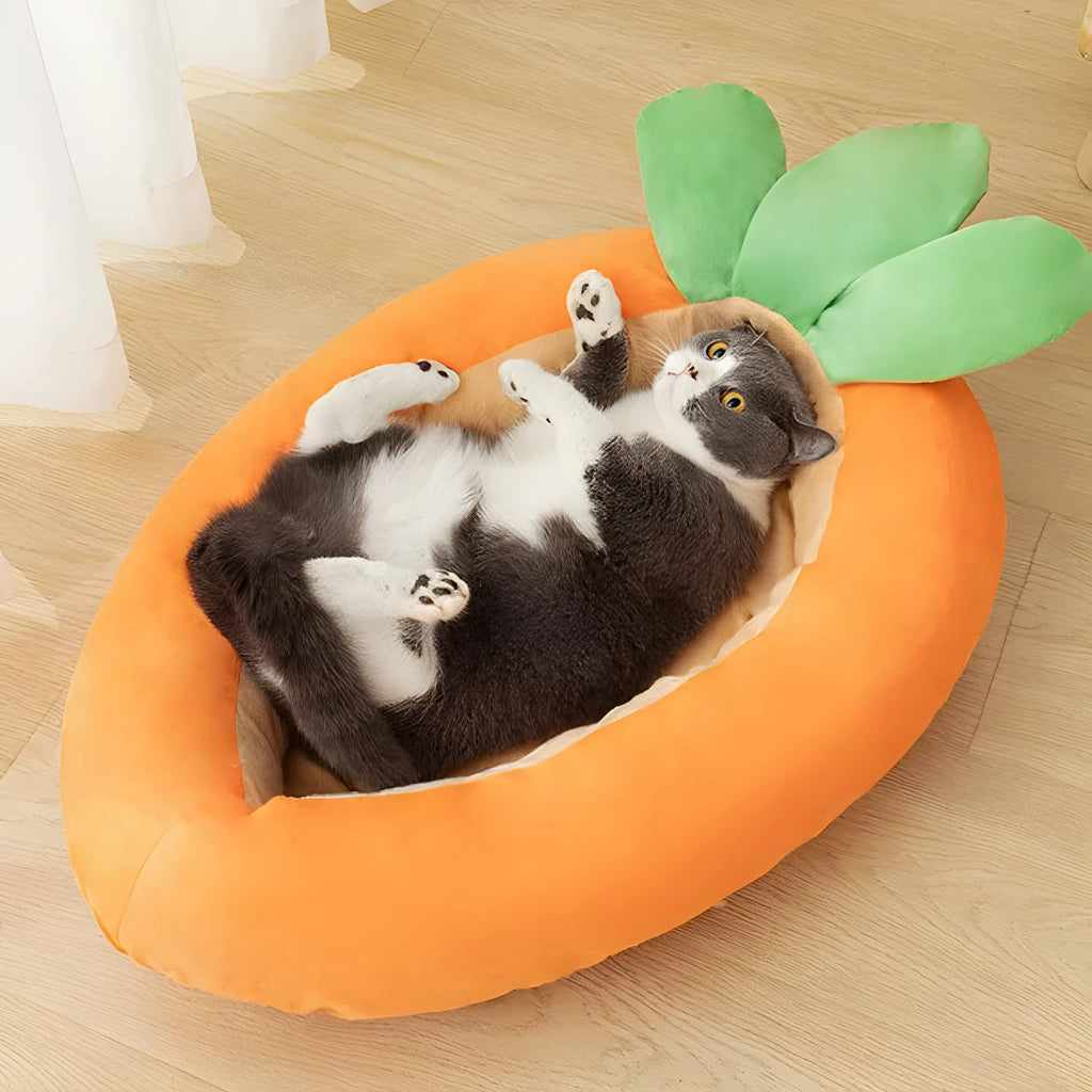 Carrot design double-sided removable washable dog mattress in two sizes