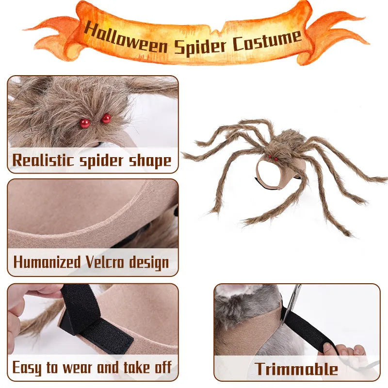 Halloween spider costume for pets in polyester with multiple colour options