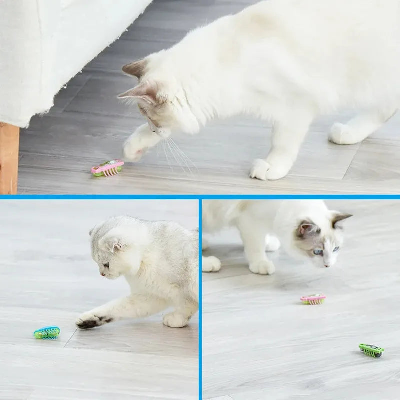 Electric bug cat toy in PVC with 12 angular legs and LR44 battery for random movement