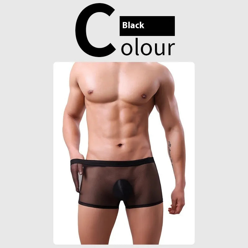 Men's low-waist mesh boxer briefs in various colours on a white background