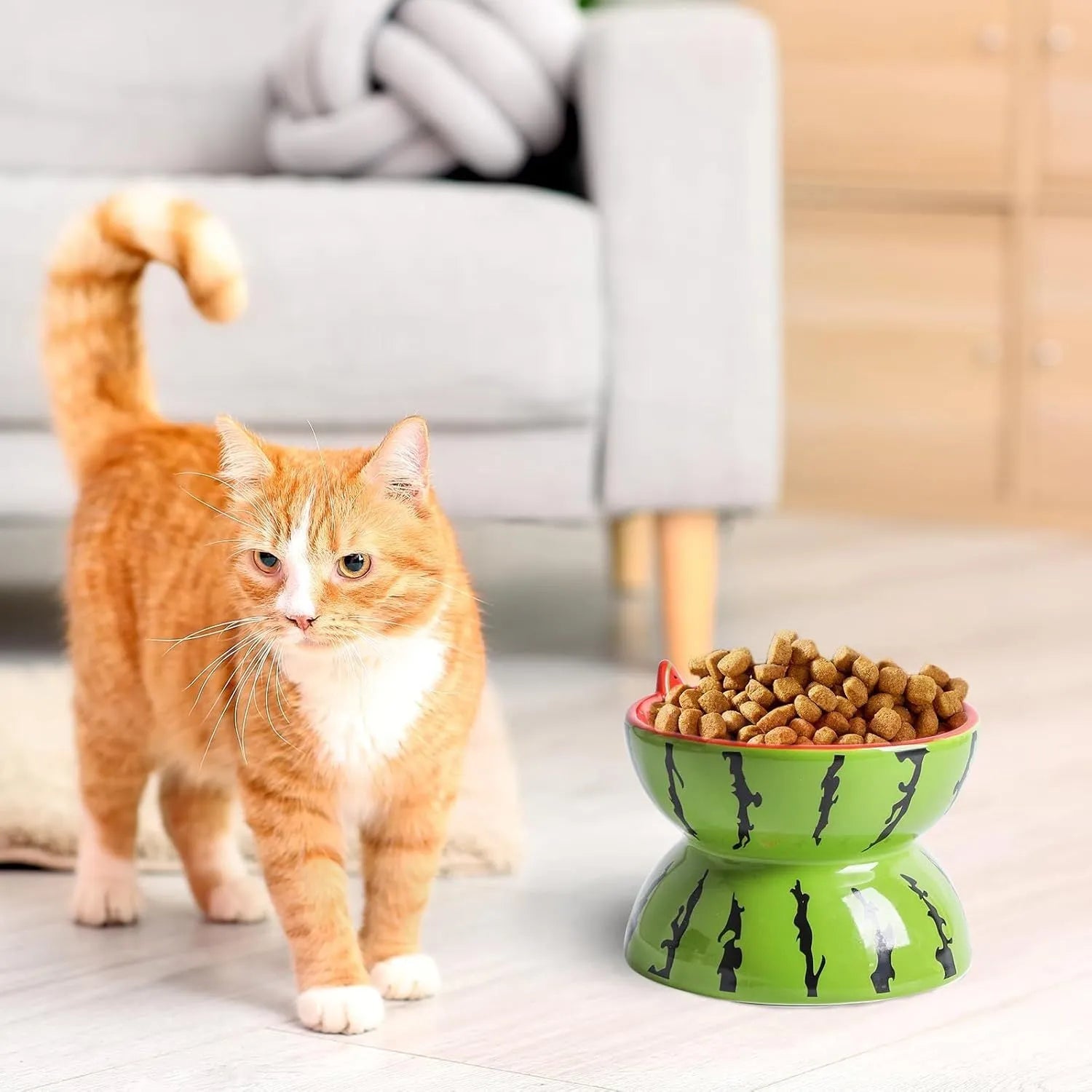 Orange ceramic raised cat bowl with tilted design and non-slip base.