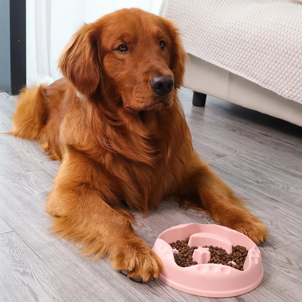 Dog slow feeder bowl with moon, star, and wing pattern in blue colour, large capacity design for feeding and water