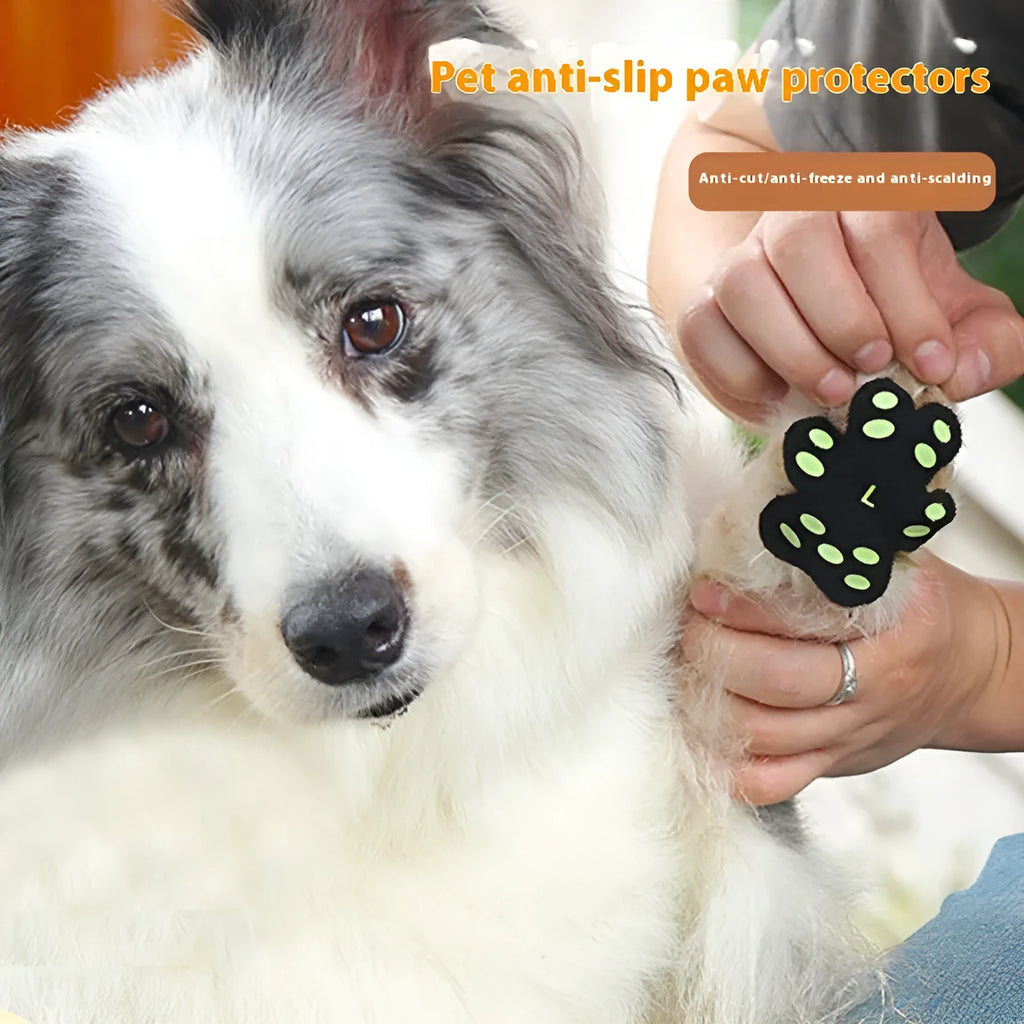 Clear pack of eight beige silicone cloth claw protection pads for dogs, labelled S or M size.