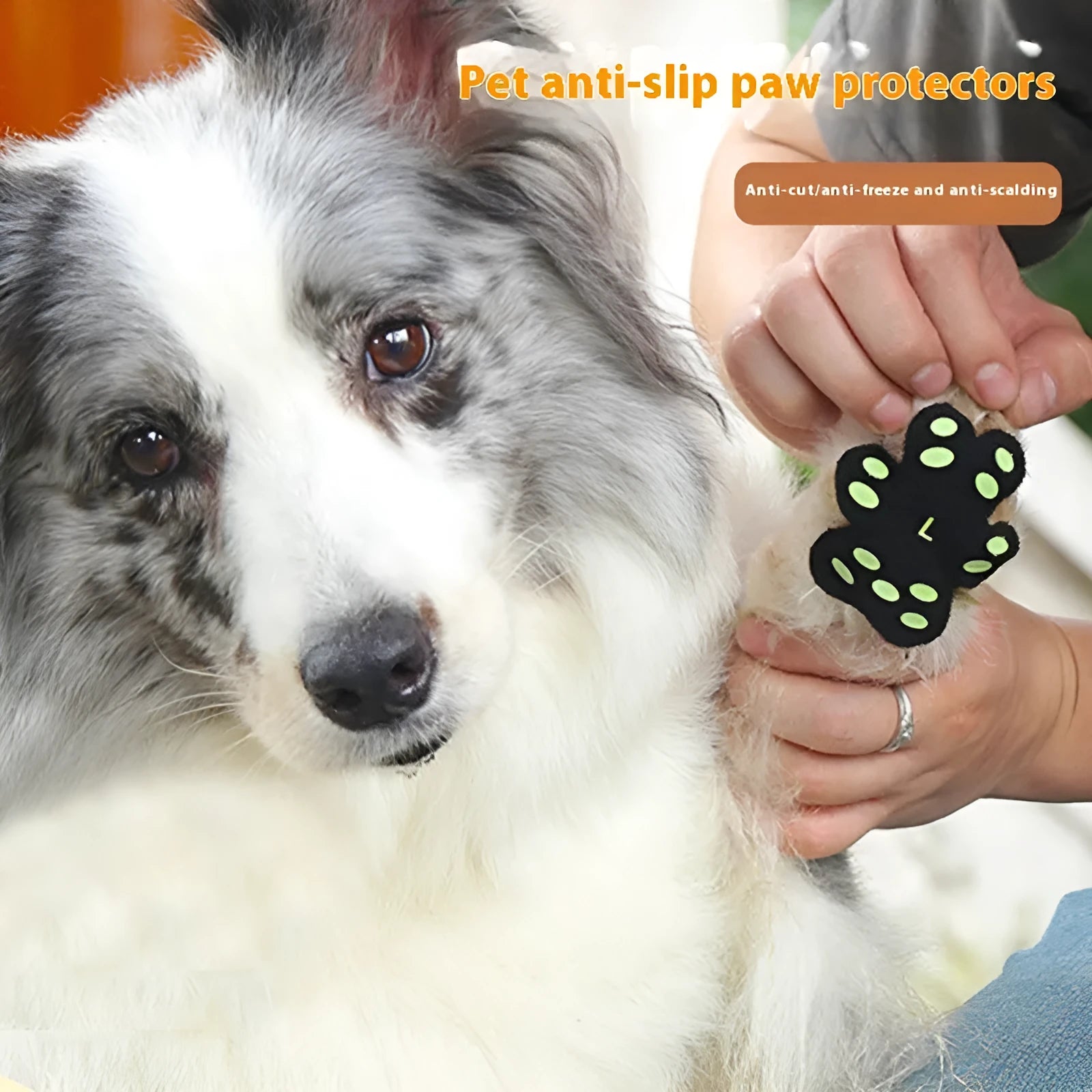 Clear pack of eight beige silicone cloth claw protection pads for dogs, labelled S or M size.