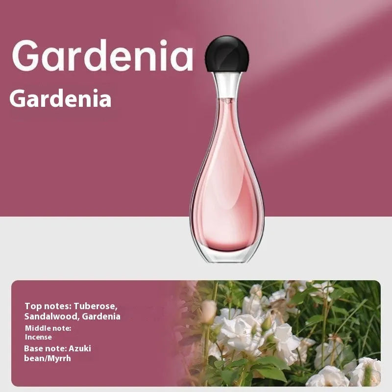 Ultrasonic aroma diffuser and mosquito repellent device with essential oil or repellent liquid bottle