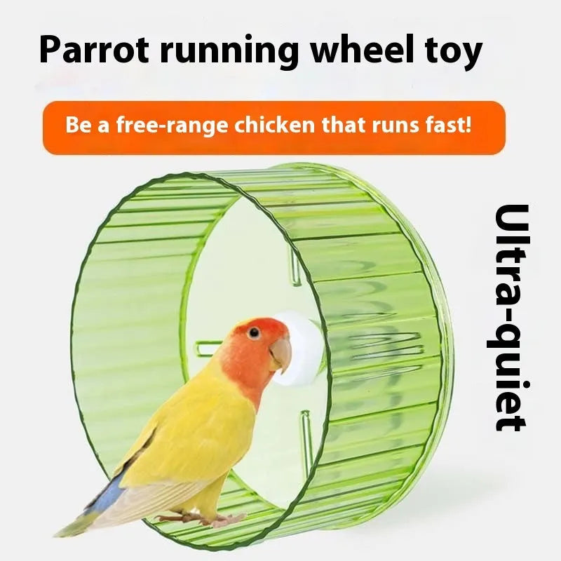 Parrot running wheel toy in transparent plastic with bird perched nearby