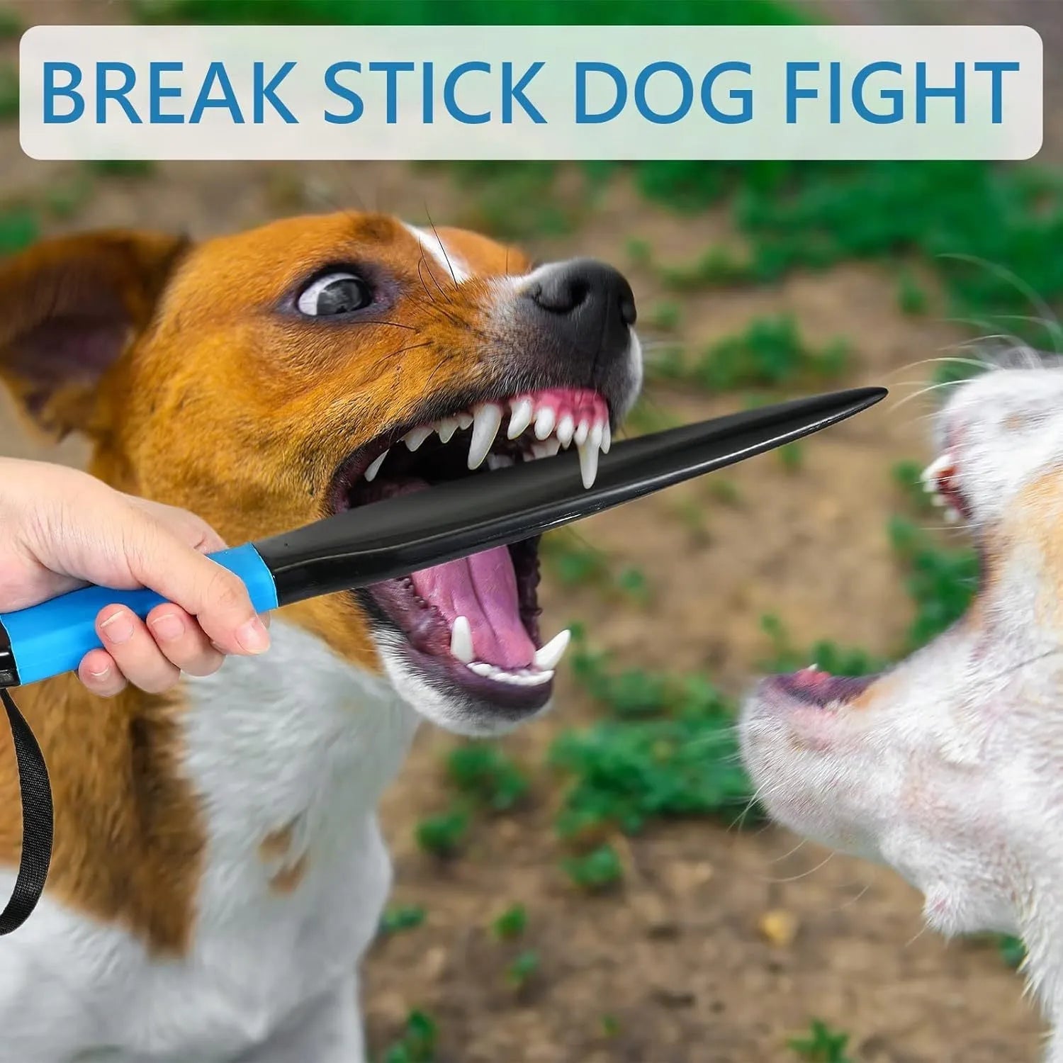 Blue handled nylon dog break stick for training, shown with measurement scale indicating 35 cm length