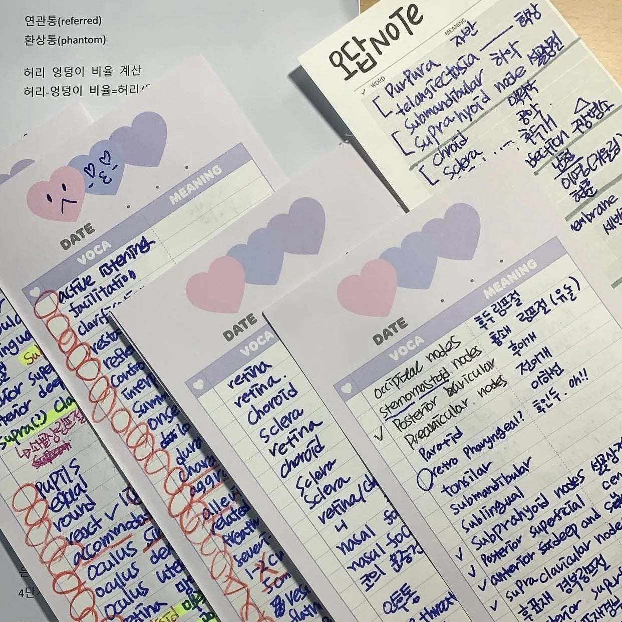 Half-B5 vertical notepad for English learning with pink, purple, or blue cover options