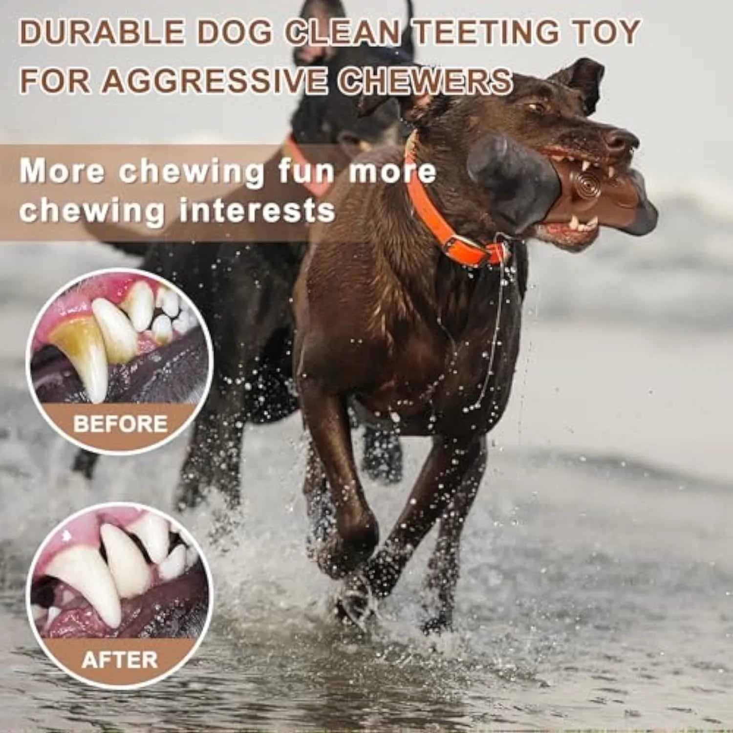Large branch-shaped nylon dog chew toy with bacon flavour and a squeaker inside.