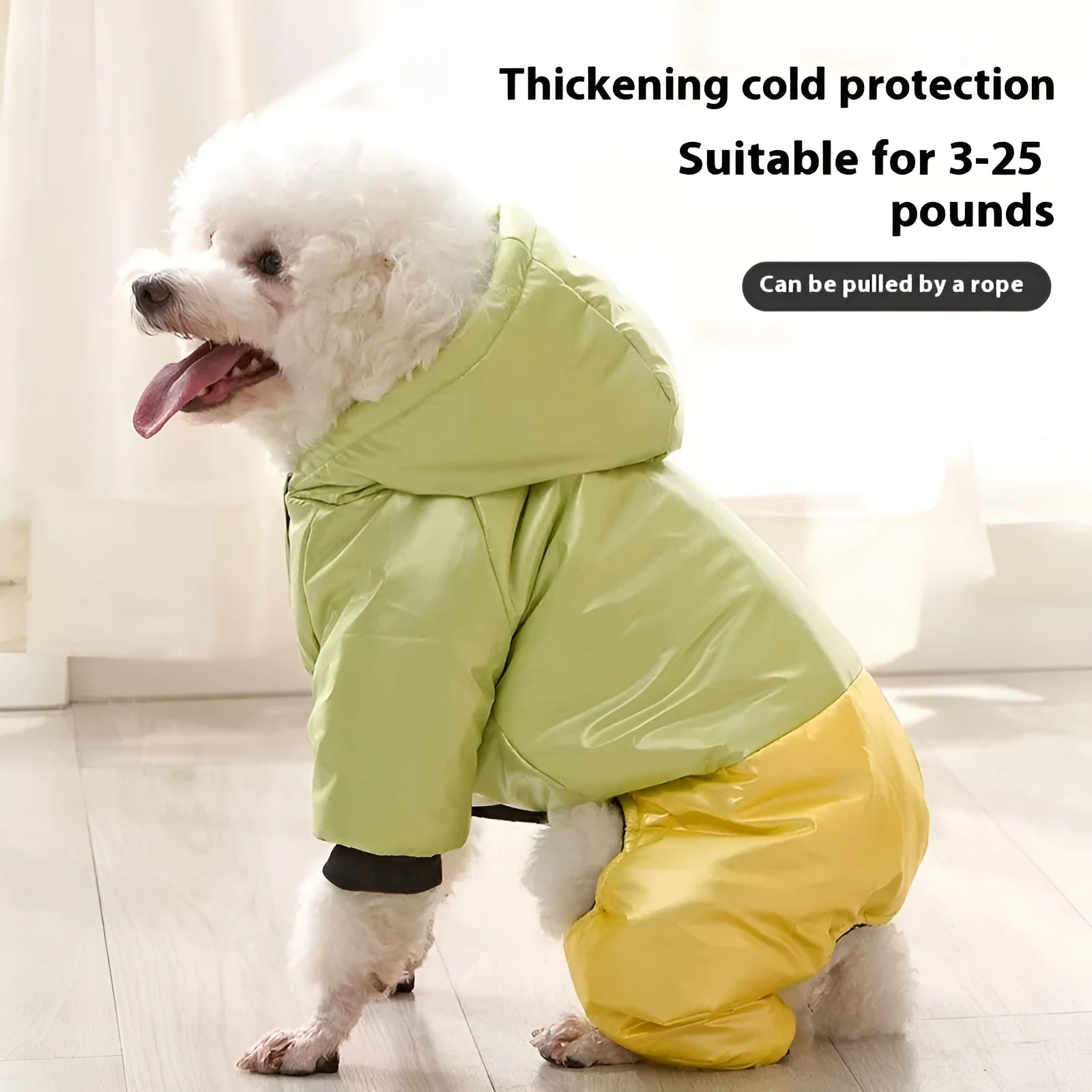 Green waterproof windproof cotton dog coat on four-legged pet