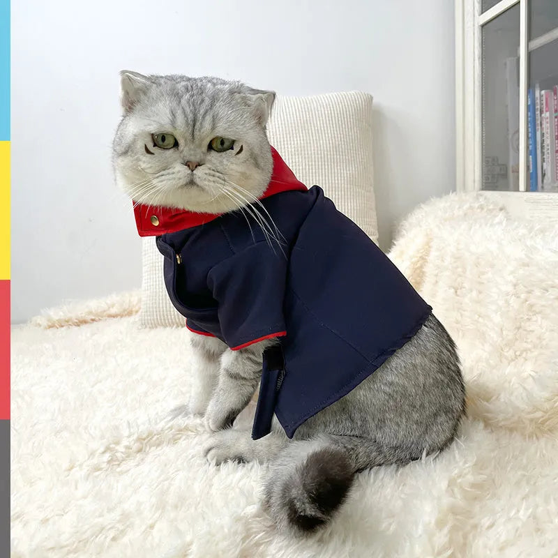Cat and dog hoodie photo prop in tiger staff yuren colour showing hooded design