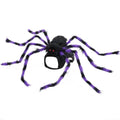 Halloween spider costume for pets in polyester with multiple colour options