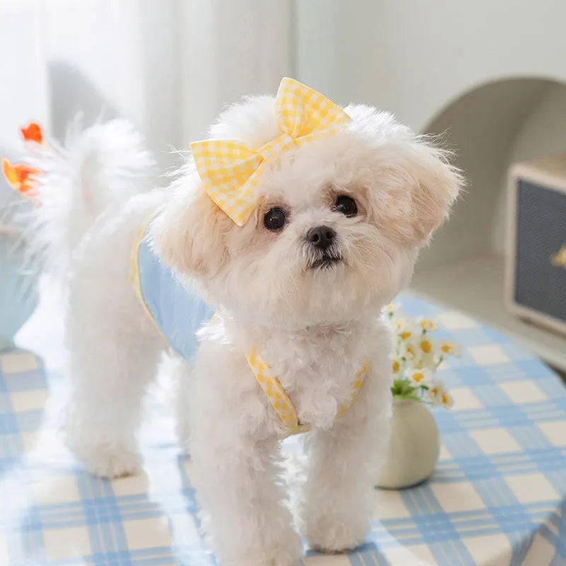 Small dog wearing a blue vest with suspenders and a heart-shaped bow, showing elastic sides.