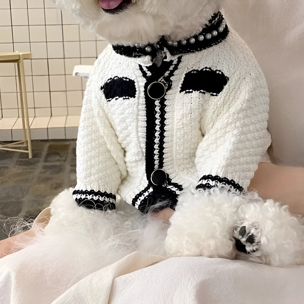Korean style white dog sweater with pearl collar decoration on small breed dog
