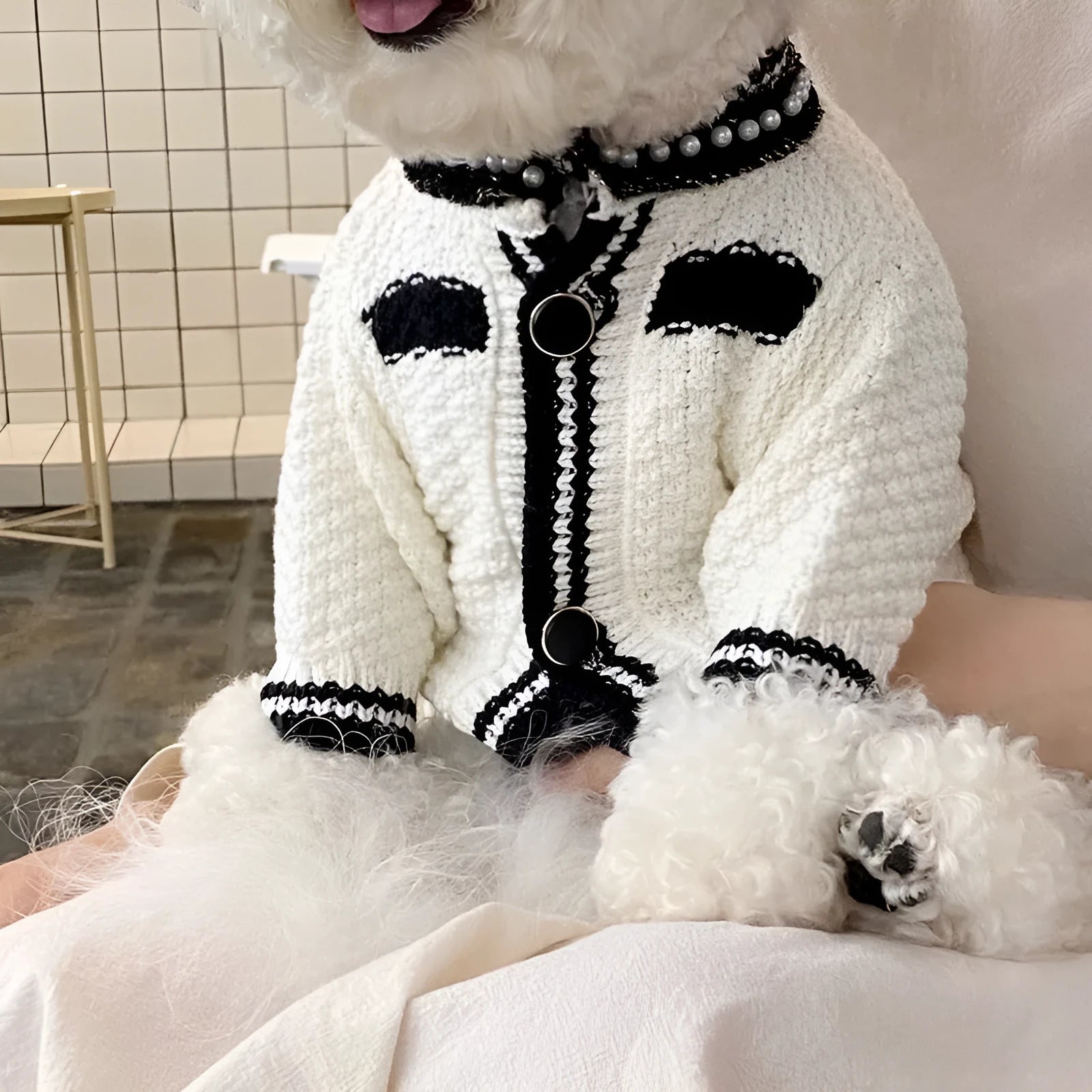 Korean style white dog sweater with pearl collar decoration on small breed dog