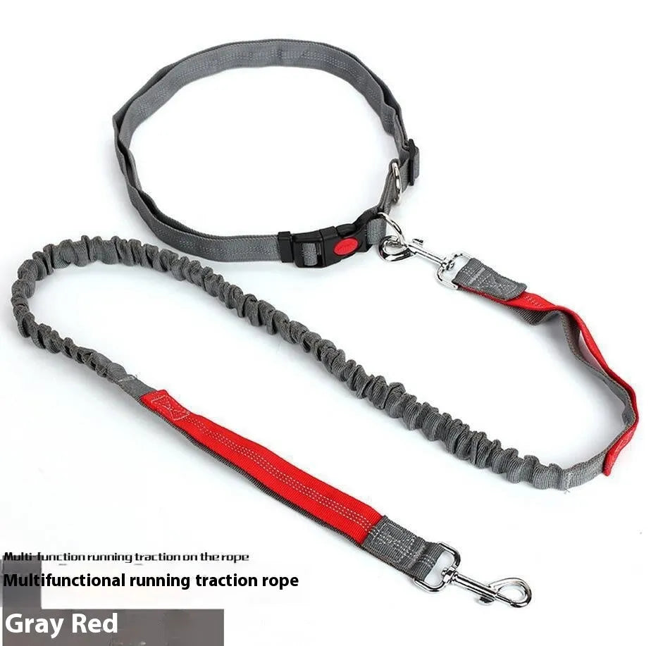 Grey and green two-tone reflective elastic dog leash held in a hand, showing its 2.5cm width.