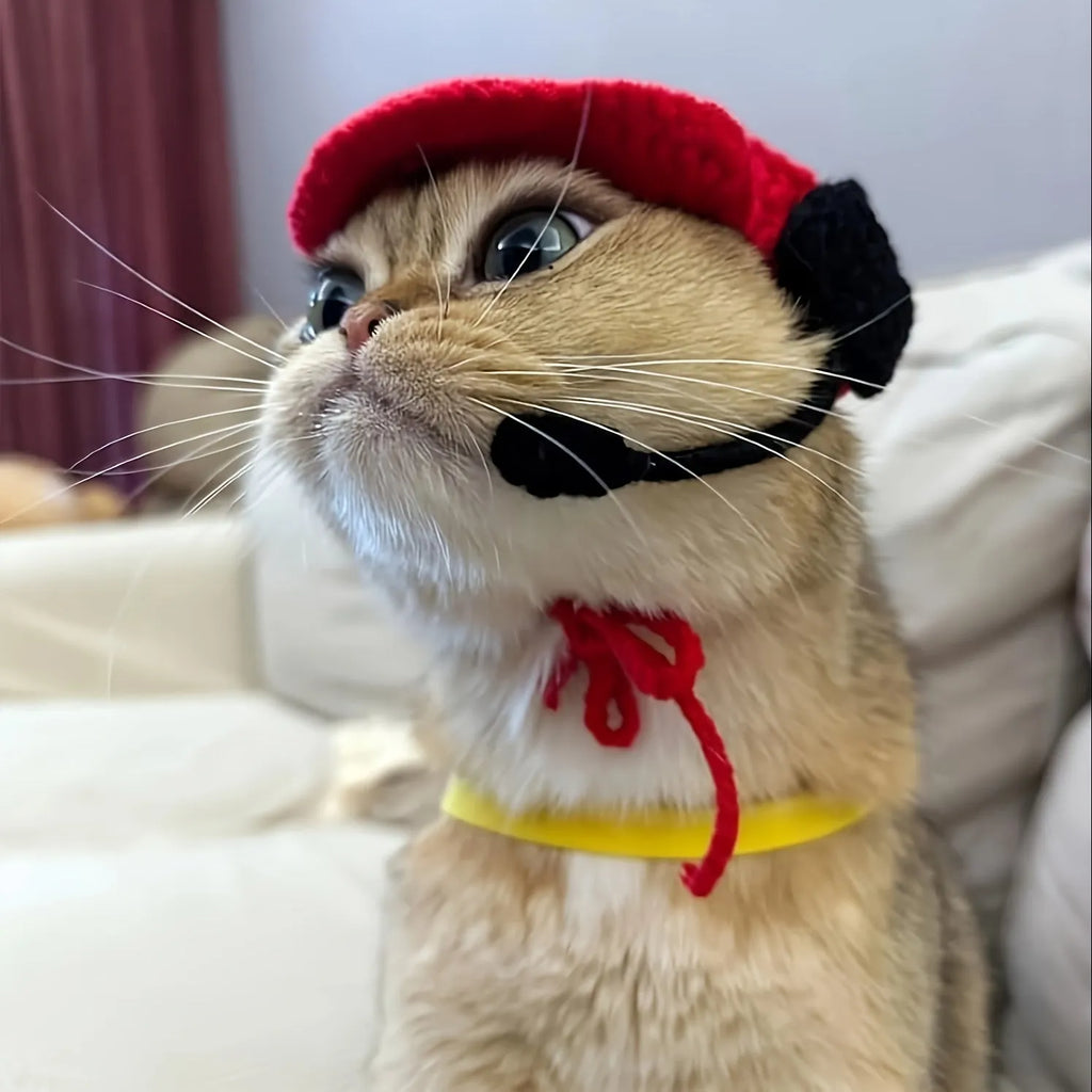 Handmade knitted cotton sweater and chef hat costume on a small cat or dog
