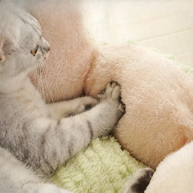 Soft green cactus-shaped pet kennel house for cats, shown next to a smaller purple version.