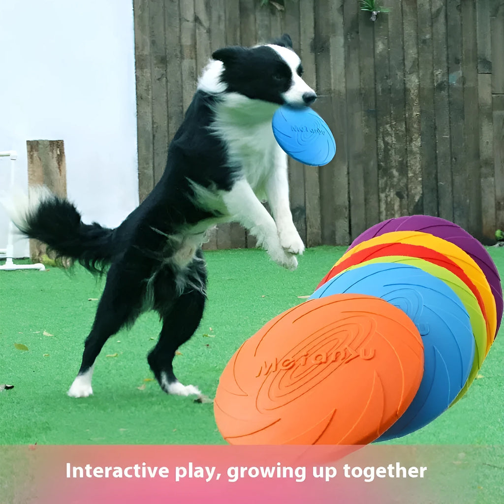 Soft rubber dog frisbee flying disc toy in blue, green or red colours available in three sizes