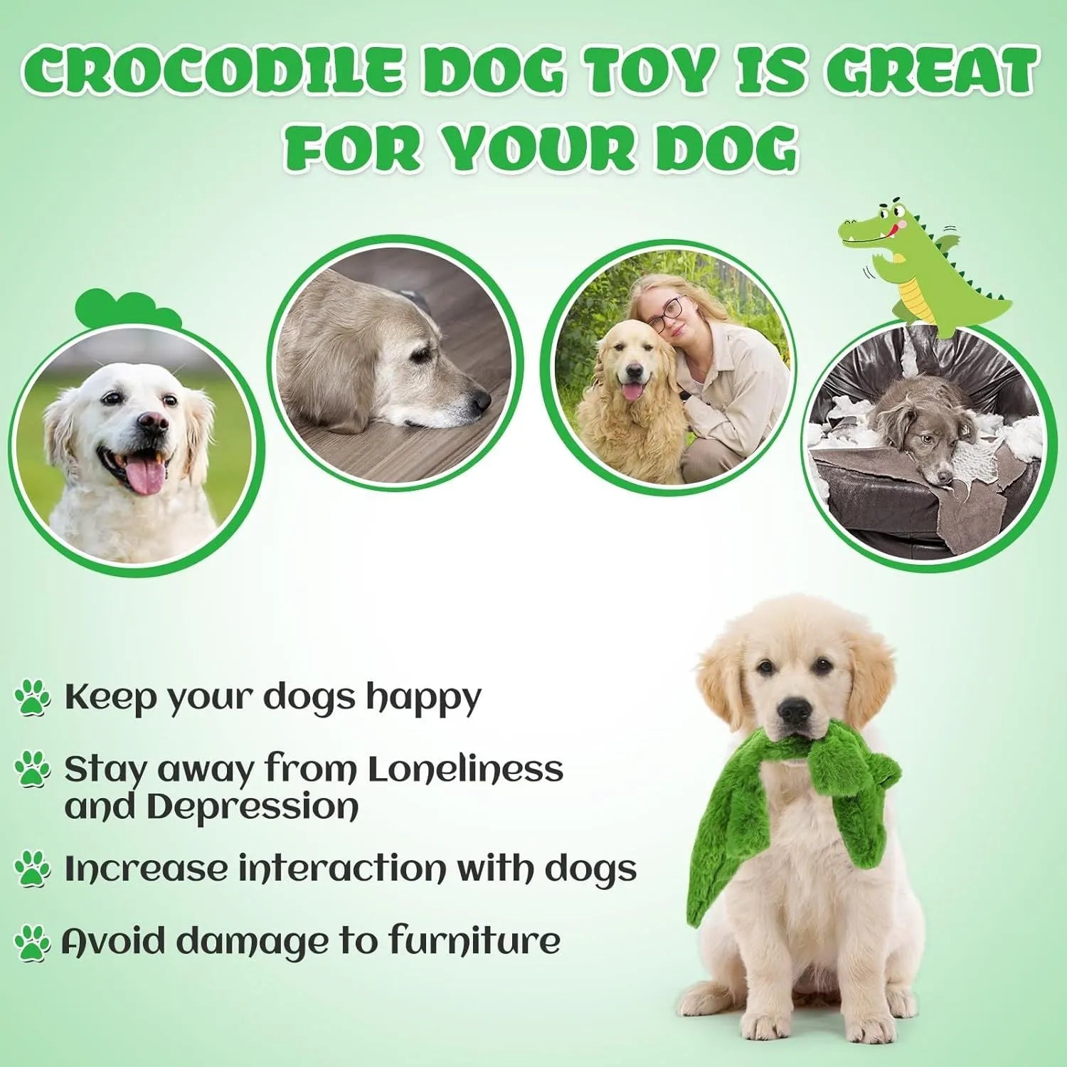 Green crocodile plush dog toy with stuffing-free construction and squeaker sound feature