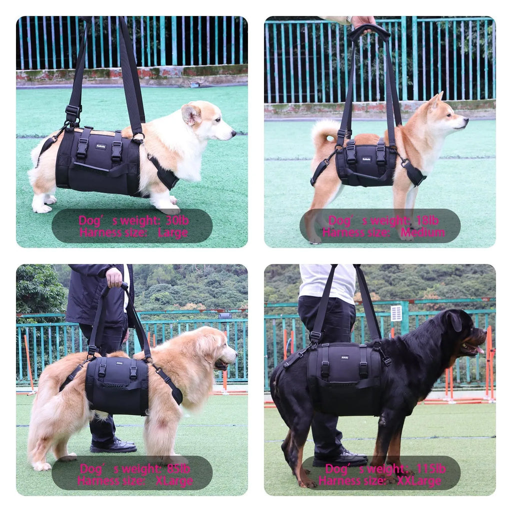 Black Oxford cloth dog harness with adjustable breast strap and leg support design
