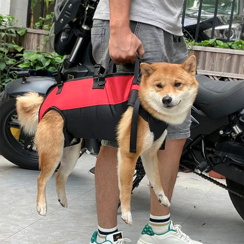 Multifunctional pet backpack that converts to stretcher in Oxford cloth with size options