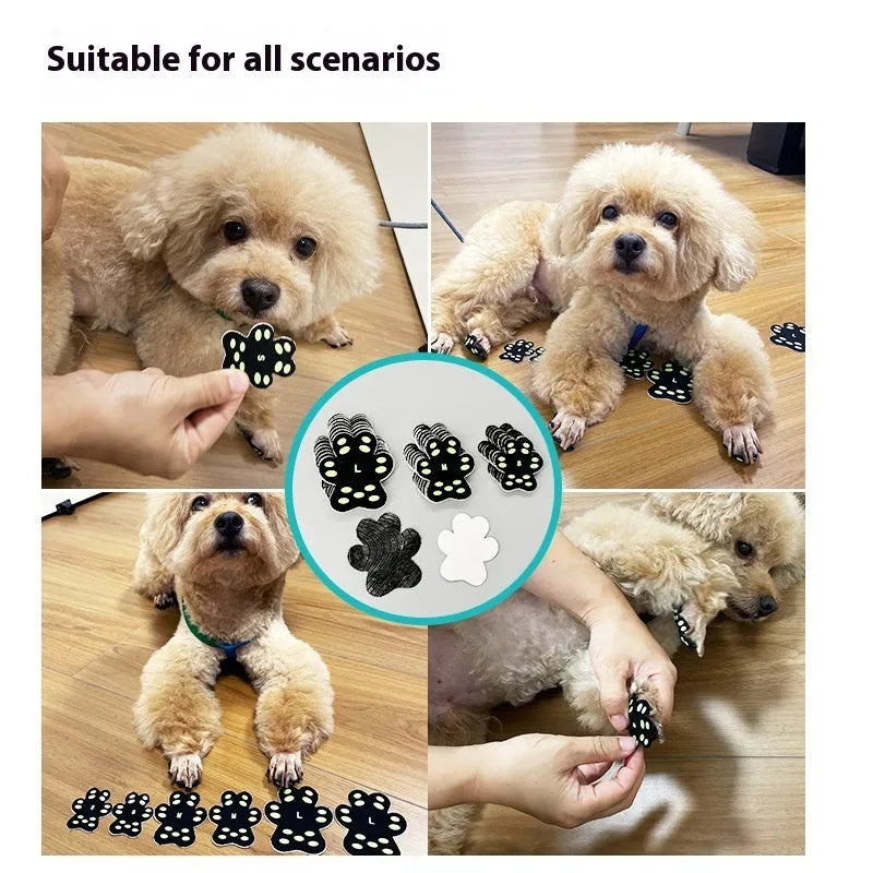 Clear pack of eight beige silicone cloth claw protection pads for dogs, labelled S or M size.