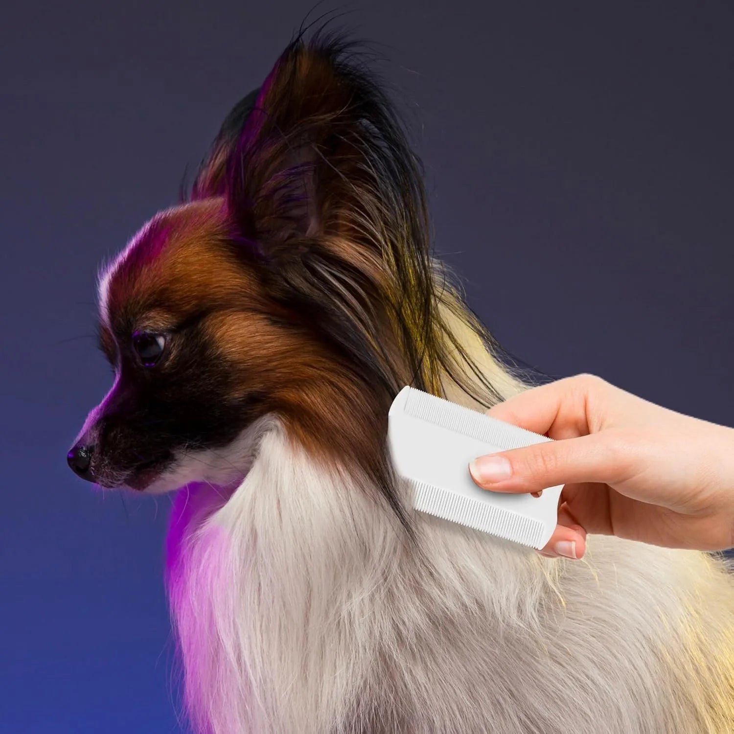Double-sided plastic flea comb for pets with dense teeth measuring 8.5cm