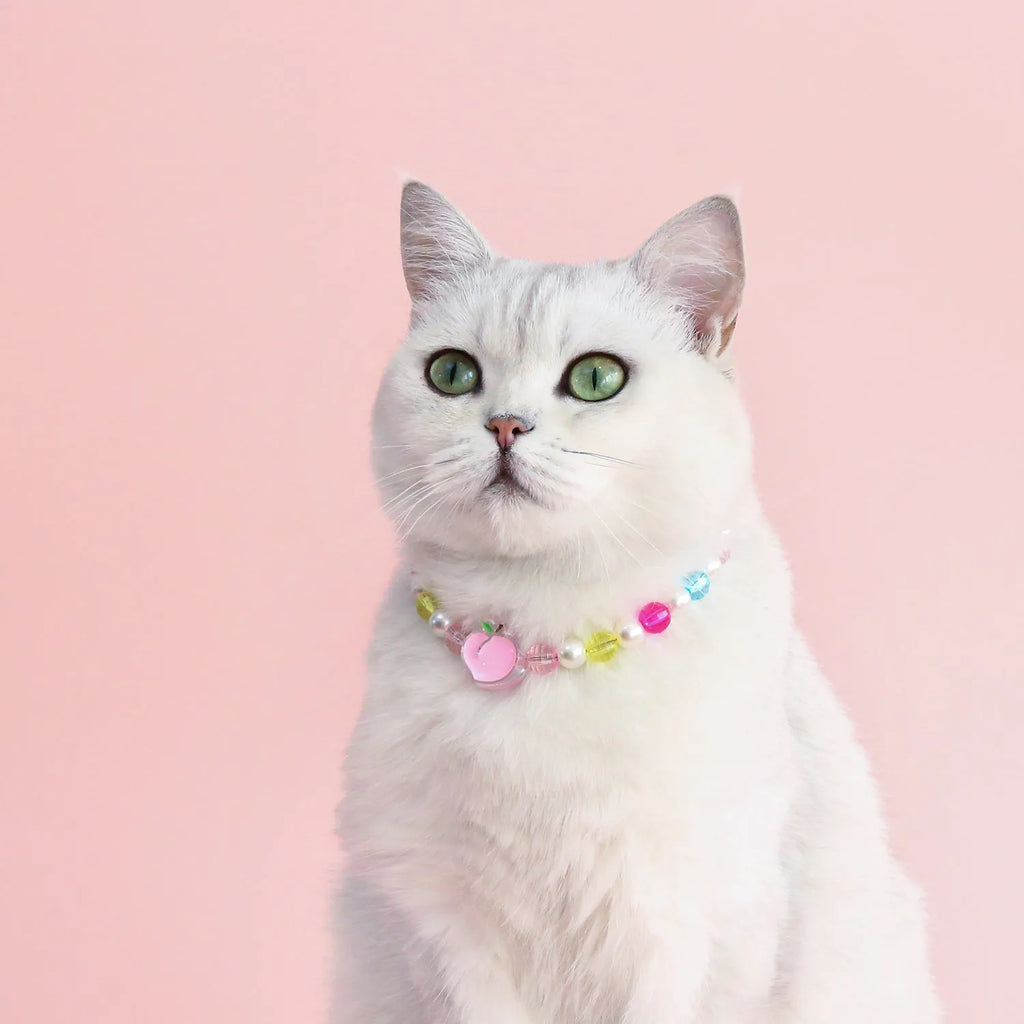 Colourful plastic pearl pet necklace with small flower, rainbow, or peach bead designs for cats